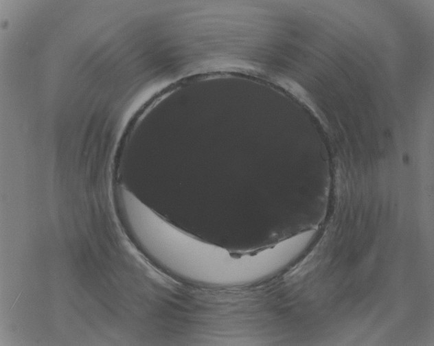 X0000076441024200610271753