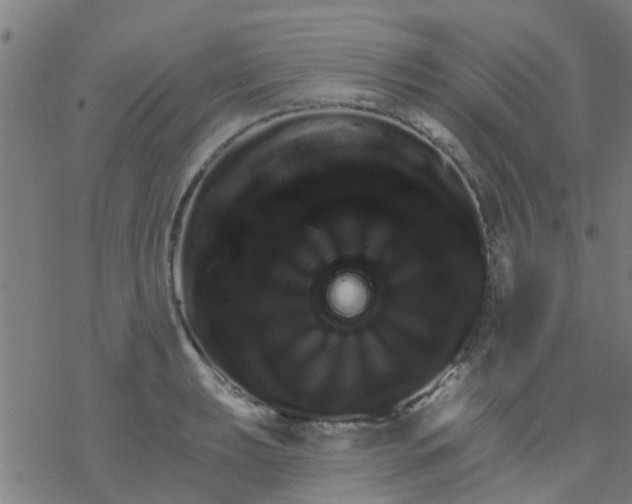 X0000076441039200610271754