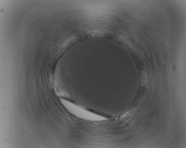 X0000076441298200610271748