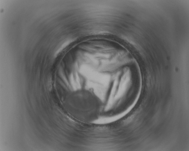 X0000076441306200610271749