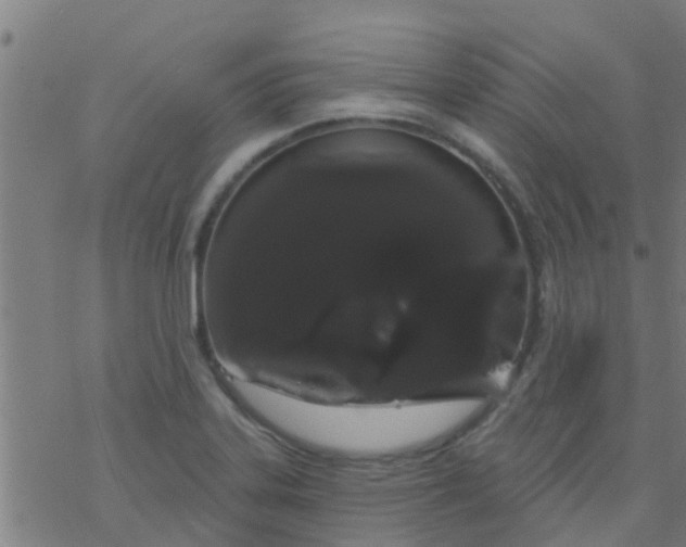 X0000076441323200610271749