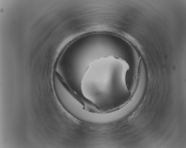 X0000076441334200610271749
