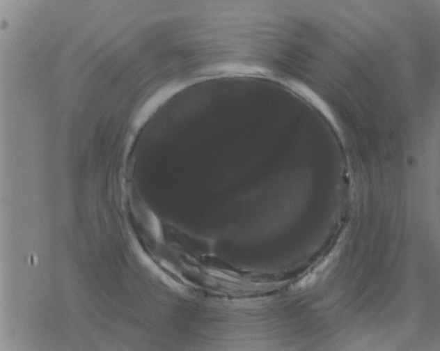 X0000076441381200610271748