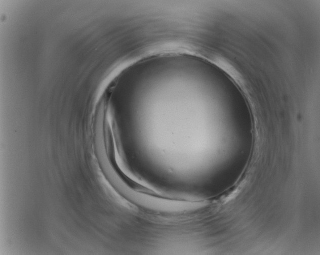 X0000076441392200610271748