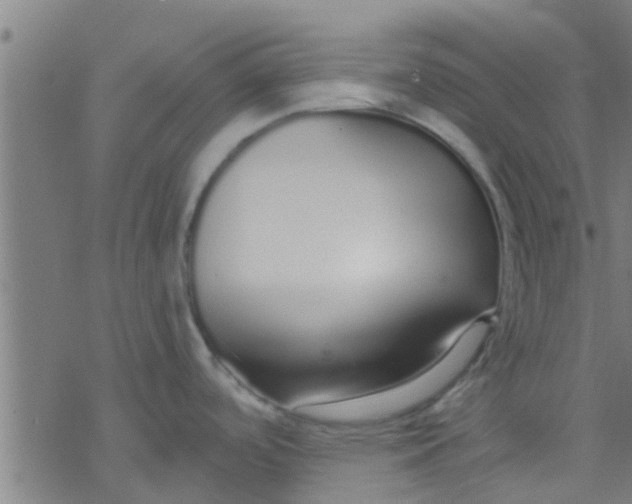 X0000076441488200610271746