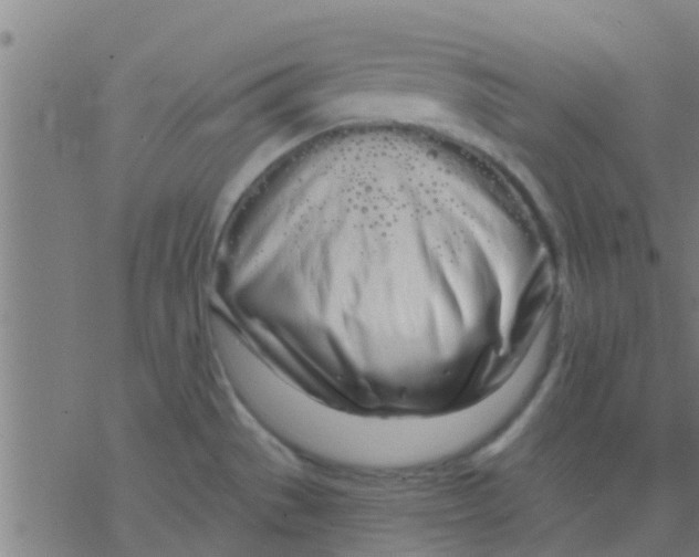 X0000076441529200610271746