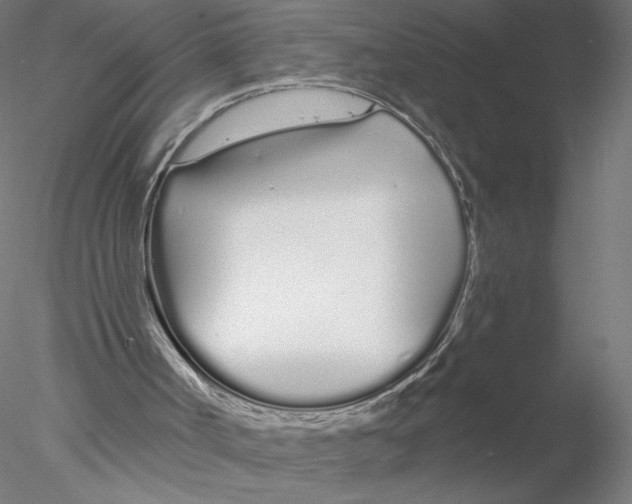 X0000076440002200611031917