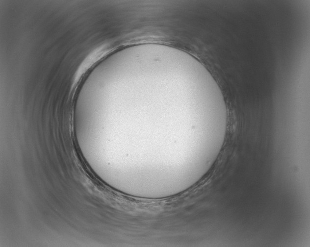 X0000076440004200611031917