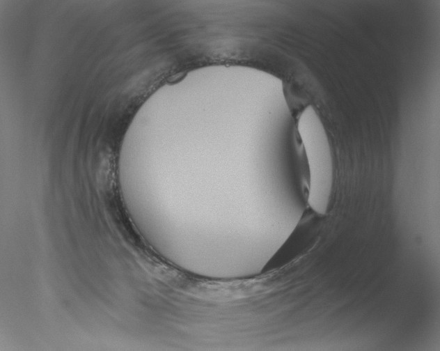 X0000076440029200611031917