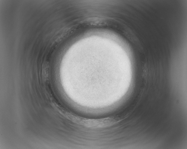 X0000076440030200611031917