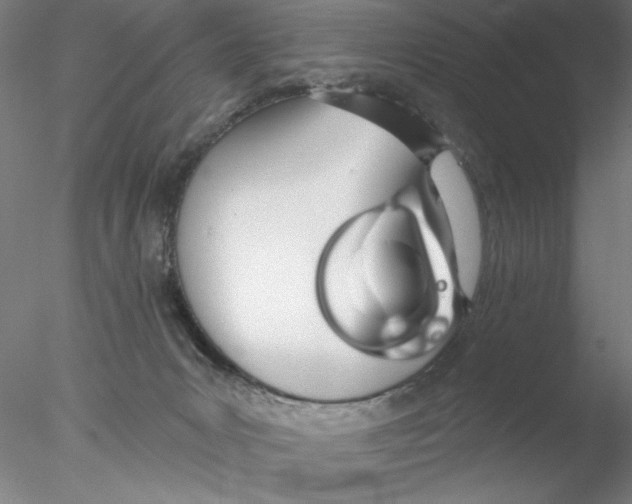 X0000076440031200611031917