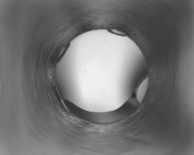 X0000076440033200611031917