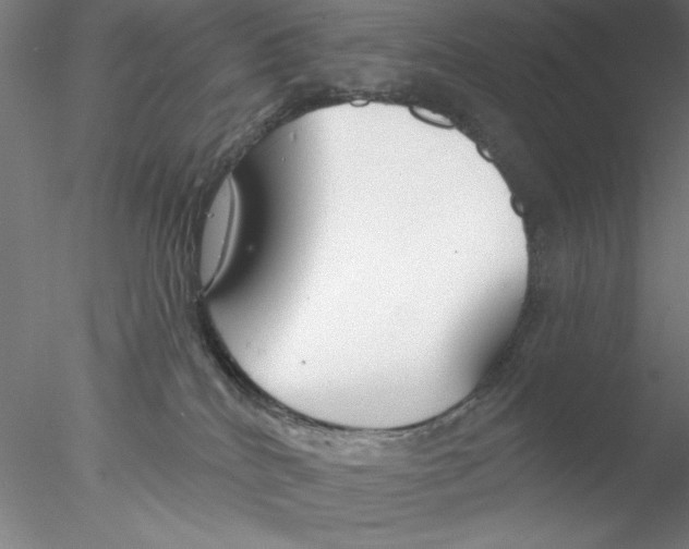 X0000076440040200611031917