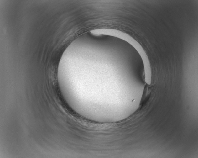 X0000076440044200611031917