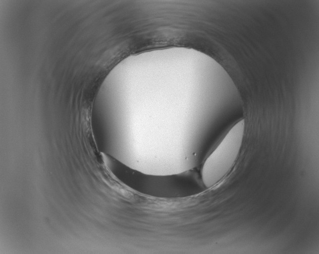 X0000076440045200611031917