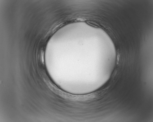 X0000076440046200611031916
