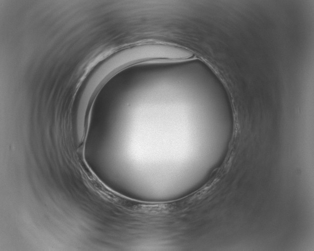 X0000076440050200611031916