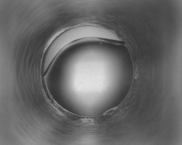 X0000076440052200611031916
