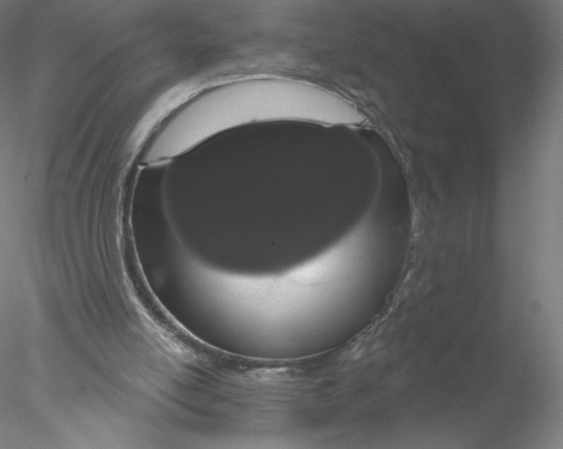 X0000076440054200611031916