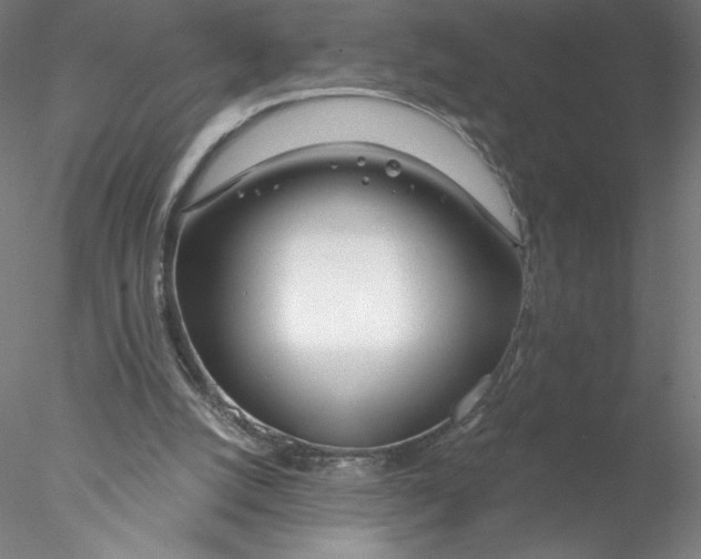 X0000076440056200611031916