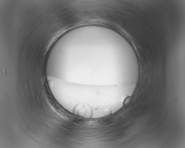 X0000076440059200611031916