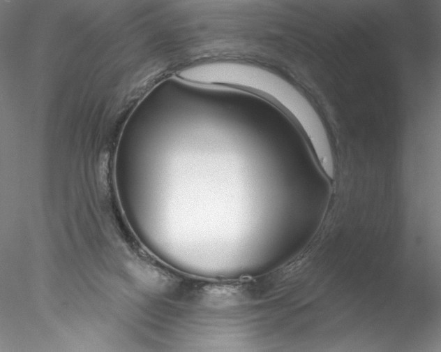 X0000076440066200611031916