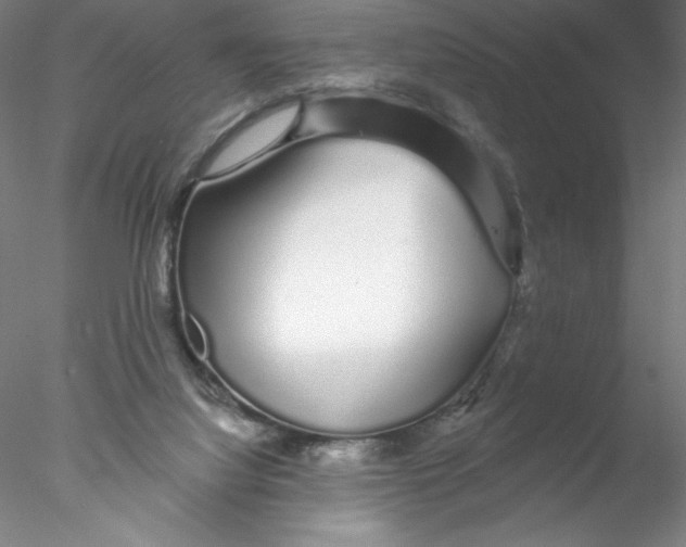 X0000076440068200611031916