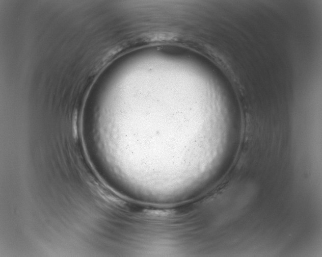 X0000076440069200611031916