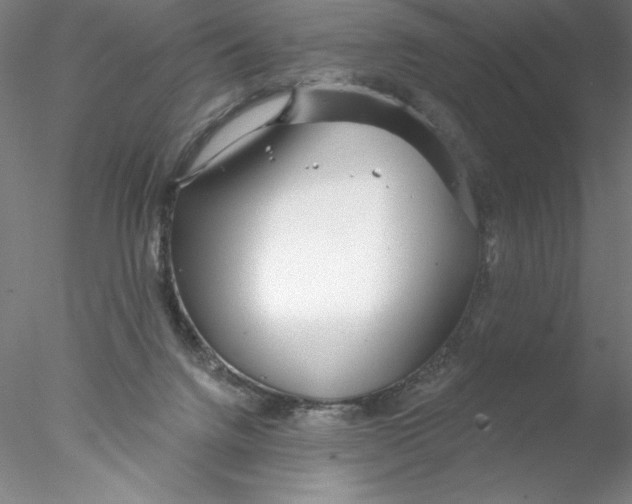 X0000076440072200611031916
