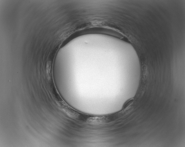 X0000076440082200611031916