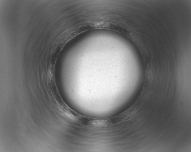 X0000076440085200611031916