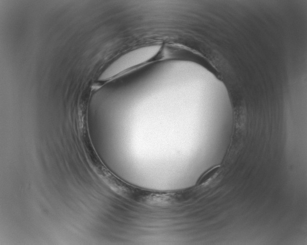 X0000076440086200611031916