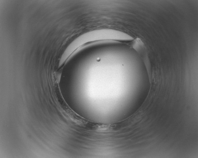 X0000076440088200611031916