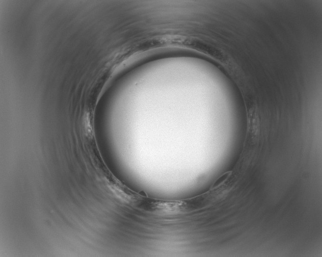 X0000076440089200611031916