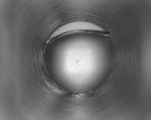 X0000076440092200611031916