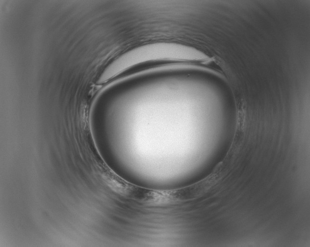 X0000076440093200611031916