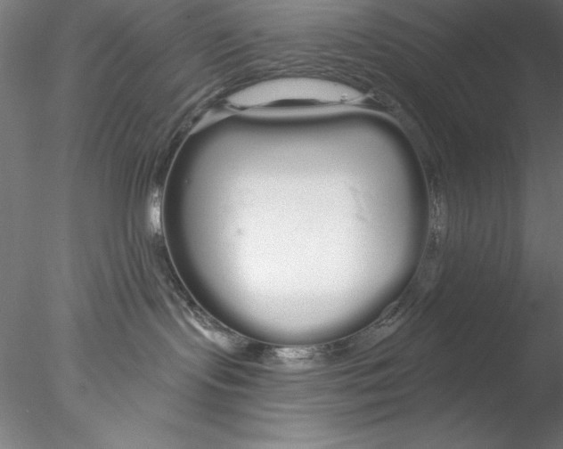 X0000076440095200611031916