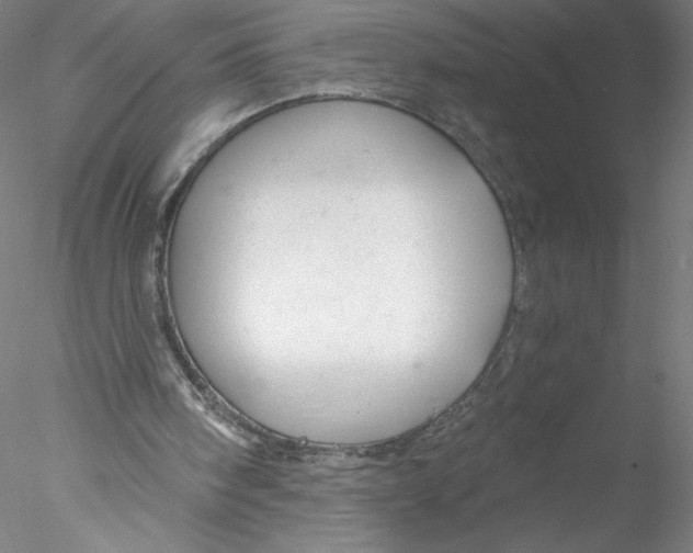 X0000076440098200611031916