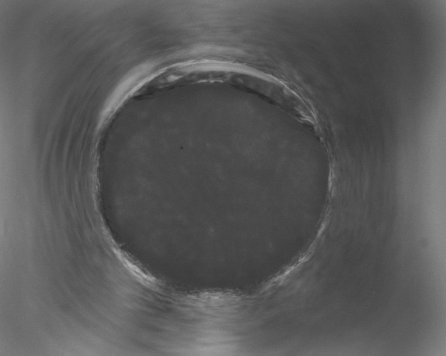 X0000076440101200611031916