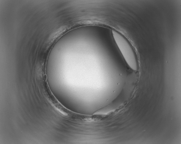 X0000076440105200611031915
