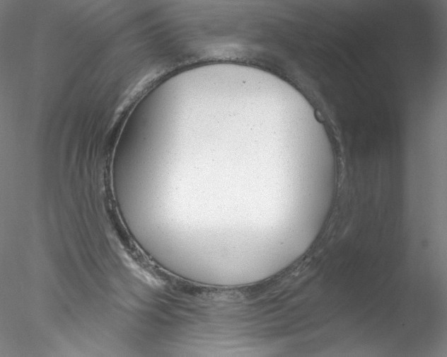 X0000076440106200611031915