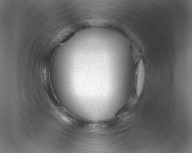 X0000076440117200611031915