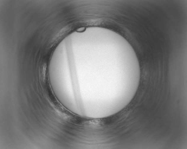 X0000076440118200611031915