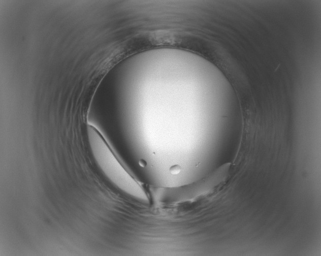 X0000076440125200611031915