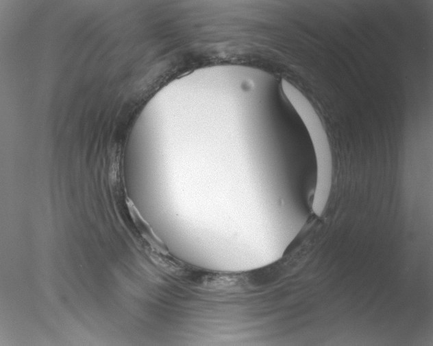 X0000076440129200611031915