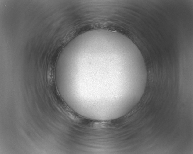 X0000076440134200611031915