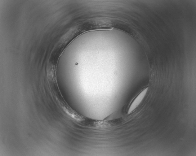 X0000076440141200611031915
