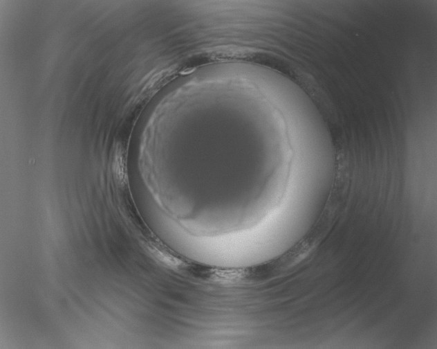 X0000076440143200611031915