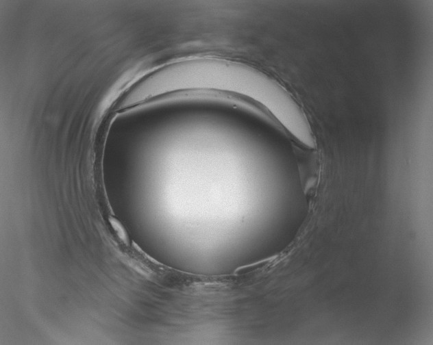 X0000076440150200611031914