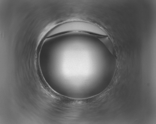 X0000076440152200611031914